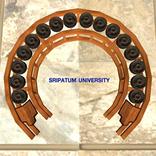 Thai instrument Kongwongyai