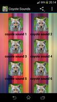 Coyote Sounds Affiche