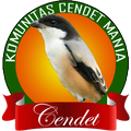 Kicau Cendet