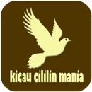 Kicau Cililin Mania APK