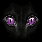 Panther Eyes Live Wallpaper 图标