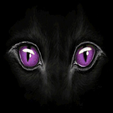Panther Eyes Live Wallpaper ícone