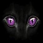 Panther Eyes Live Wallpaper иконка
