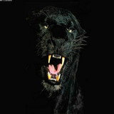 black panther Live Wallpaper 圖標