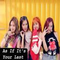 BlackPink As If It's Your Last - Offline & Lyrics