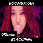 BLACKPINK – BOOMBAYAH (붐바야) - Offline Video Lyrics icon