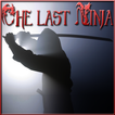 The last Ninja Assassinator 2
