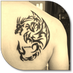 Dragon Tattoos