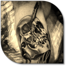 Schedel Tattoos-APK