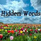 Hidden words आइकन