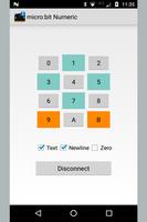 micro:bit Numeric পোস্টার