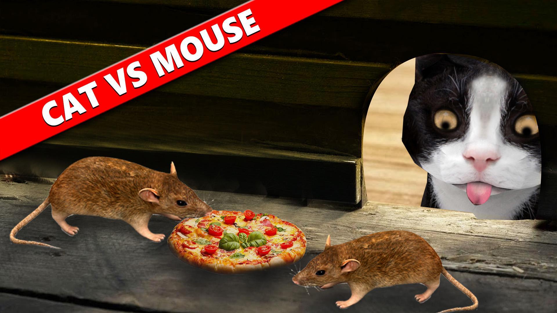 Коты против мышей. Симулятор мыши. Кошки vs мышки. Симулятор мыши кошка.