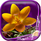 Flowers Live Wallpaper HD icon