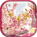 Sakura Wallpaper Animasi APK