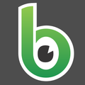 BlinkPipe Mobile