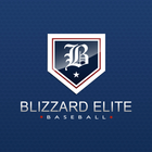 Blizzard Elite Baseball-icoon
