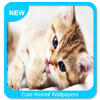 Cute Animal Wallpapers آئیکن