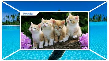 Cute Animal Wallpapers اسکرین شاٹ 2