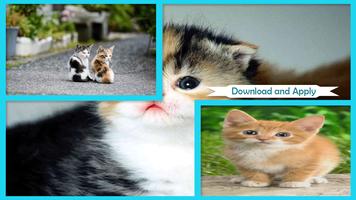 Papel de Parede Cute Cat Live Cartaz