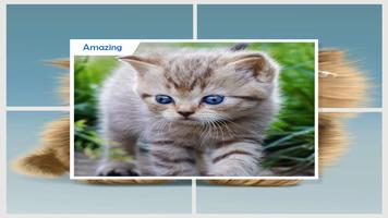 Cute Cat Live Wallpaper اسکرین شاٹ 2