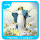 Virgin Mary   Wallpaper APK