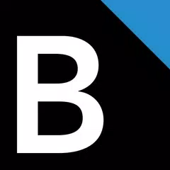 BloombergNEF APK 下載