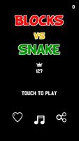 Blocks Vs Snake Affiche