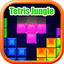 Terris Block Puzzle Classic APK