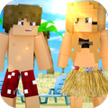 ”Hawaii Craft - Palms and Hangouts