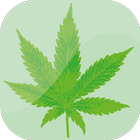 4:20 Clock icon