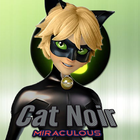 Cat Noir Miraculous 2 icon