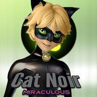 Cat Noir Miraculous 2 screenshot 3