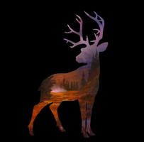 Must-Know Deer Hunter 2016 T&T ảnh chụp màn hình 1