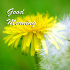 Best Good Morning Images icon