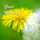 Best Good Morning Images APK