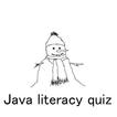 Java code literacy quiz