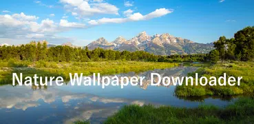 Wallpaper Downloader Nature HD
