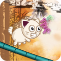 Jumping Cat