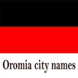 Oromia City Names icône