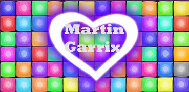 Martin Garrix In The Name Of L