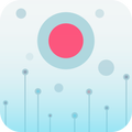 Move the Dots