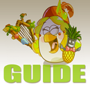 Guides Angry Birds Epic APK