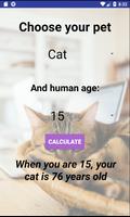 Cat And Dog Age Calculator plakat