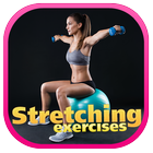 Stretching Exercises icono