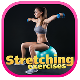 Stretching Exercises icono