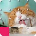 Cats Puzzle