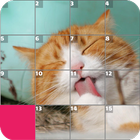 Icona Cats Puzzle