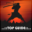 Top Guide Shadow Fight2