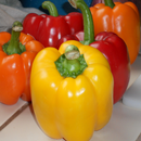 Healthy Vegetables Memory Game APK
