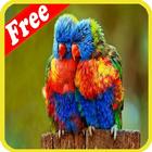 آیکون‌ Bird Sounds Ringtones 2017